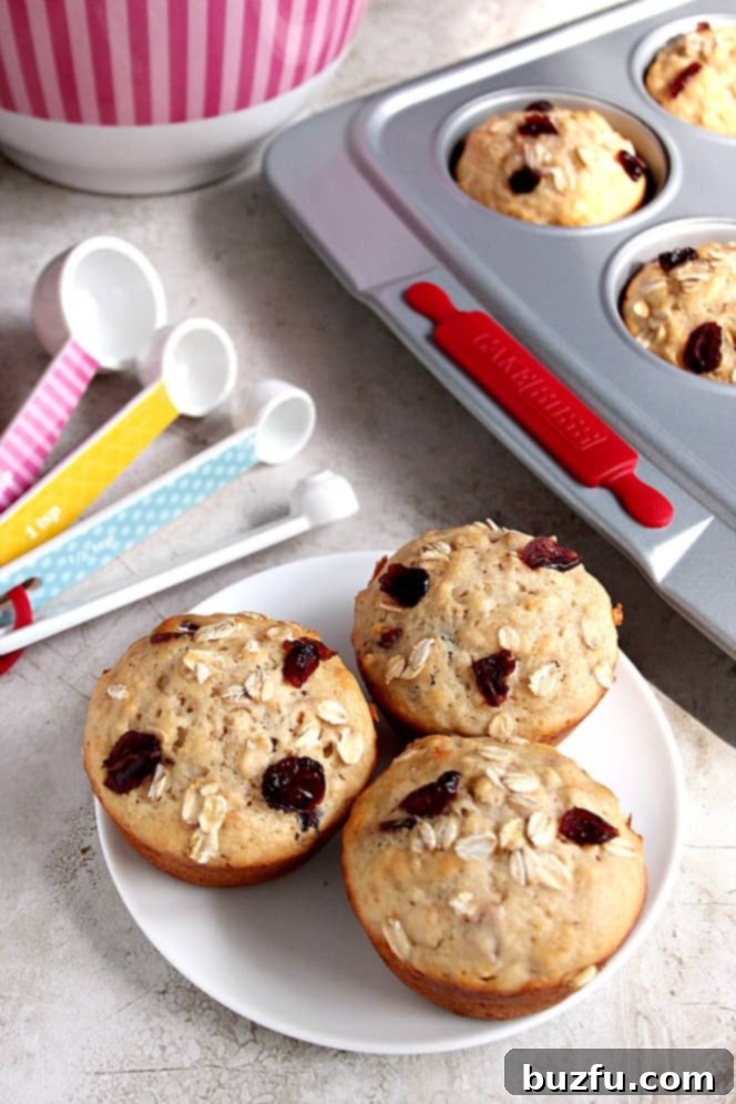 Apple Oat Cranberry Muffins recipe - fluffy and moist muffins with apple, oats and dried cranberries. Perfect addition to your lunchbox! 