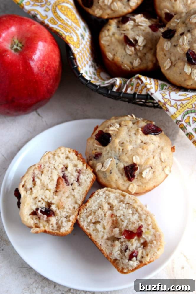 Apple Oat Cranberry Muffins recipe - fluffy and moist muffins with apple, oats and dried cranberries. Perfect addition to your lunchbox! 