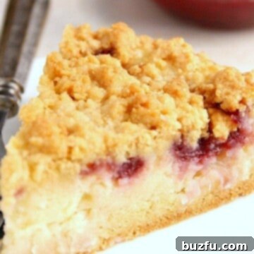 Tangy Raspberry Coconut Crumb Pie 2 Raspberry Coconut Sour Cream Crumb Pie slice on a plate.