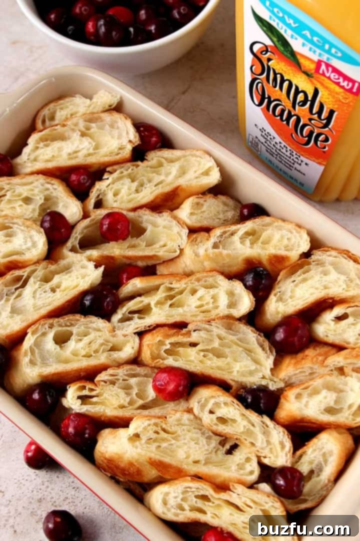 Bright Orange Cranberry Croissant Bake 2 Close-up of baked Orange Cranberry Croissant Bake, showing golden-brown crust, cranberries, and soft custard interior.