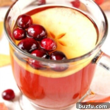 Slow Cooker Apple Cranberry Comfort Brew 2 Apple Cranberry Tea in a mug.