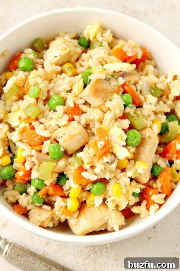 Overhead shot of fried rice in white bowl.
