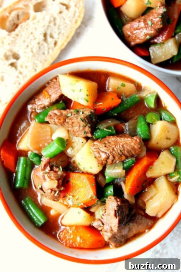 Overhead shot of beef stew in bowl with red rim, showcasing the colorful vegetables and rich broth.