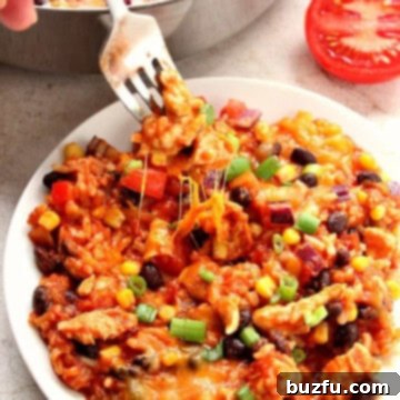 A generous serving of Mexican chicken and rice skillet on a plate, garnished with fresh toppings.
