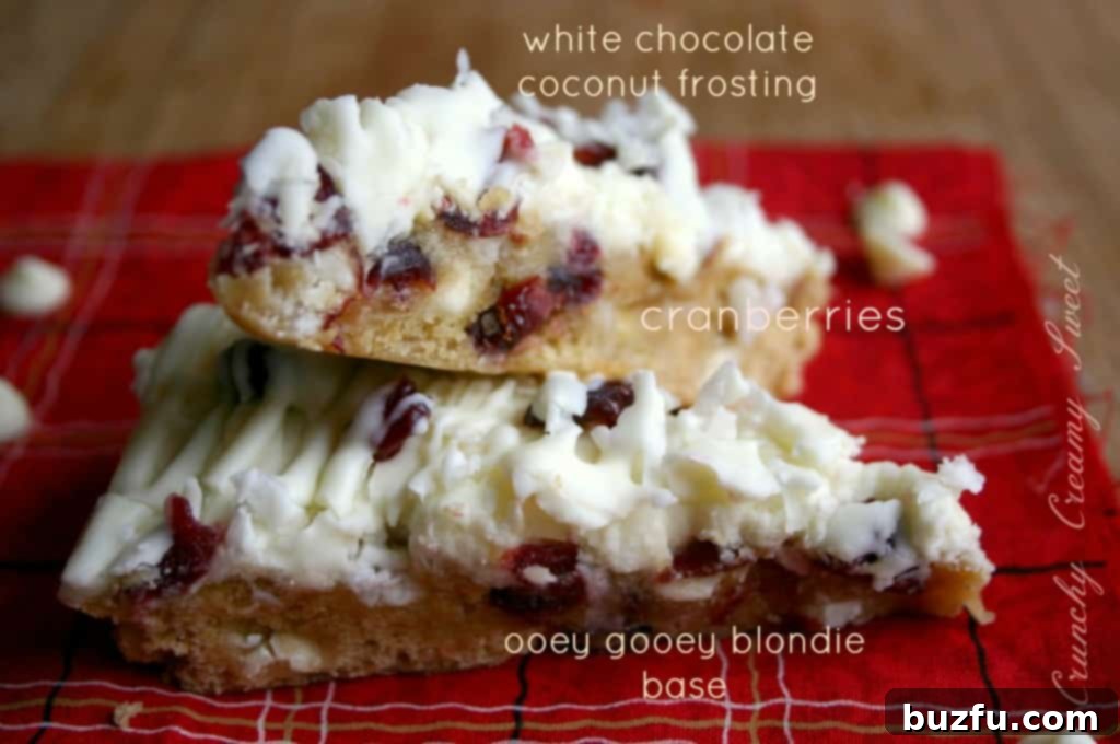 Close-up of a Cranberry Bliss Bar with white chocolate and coconut on top
