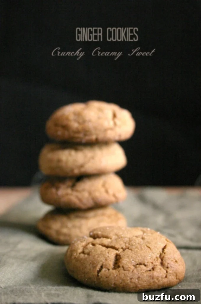 Side shot of ginger cookie on napkin, stack of cookies in background.