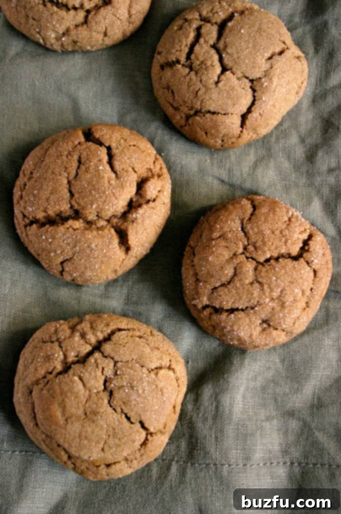 Overhead shot of ginger cookies on napkin.