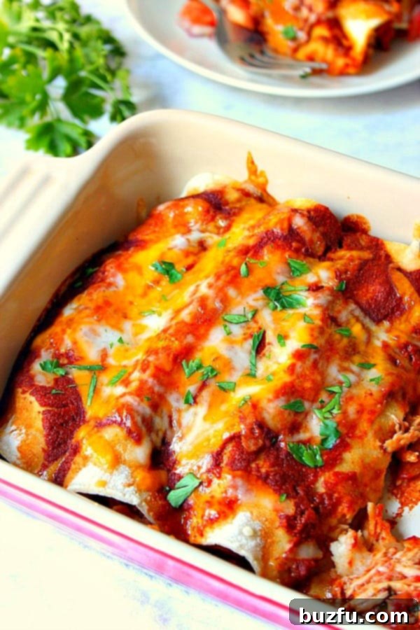 Enchiladas with melted cheese in a baking dish, freshly out of the oven, steam rising slightly.