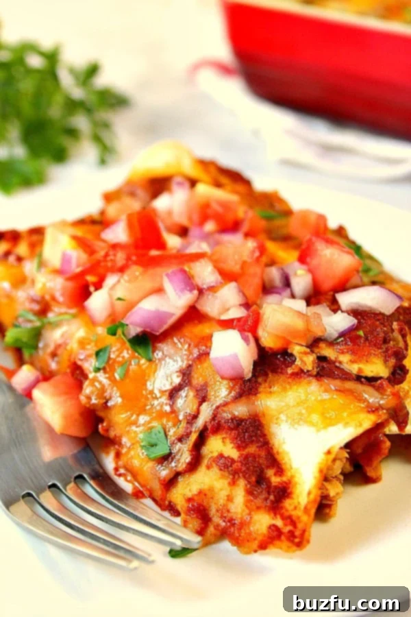 Two chicken enchiladas on a white plate, garnished with fresh pico de gallo and cilantro.