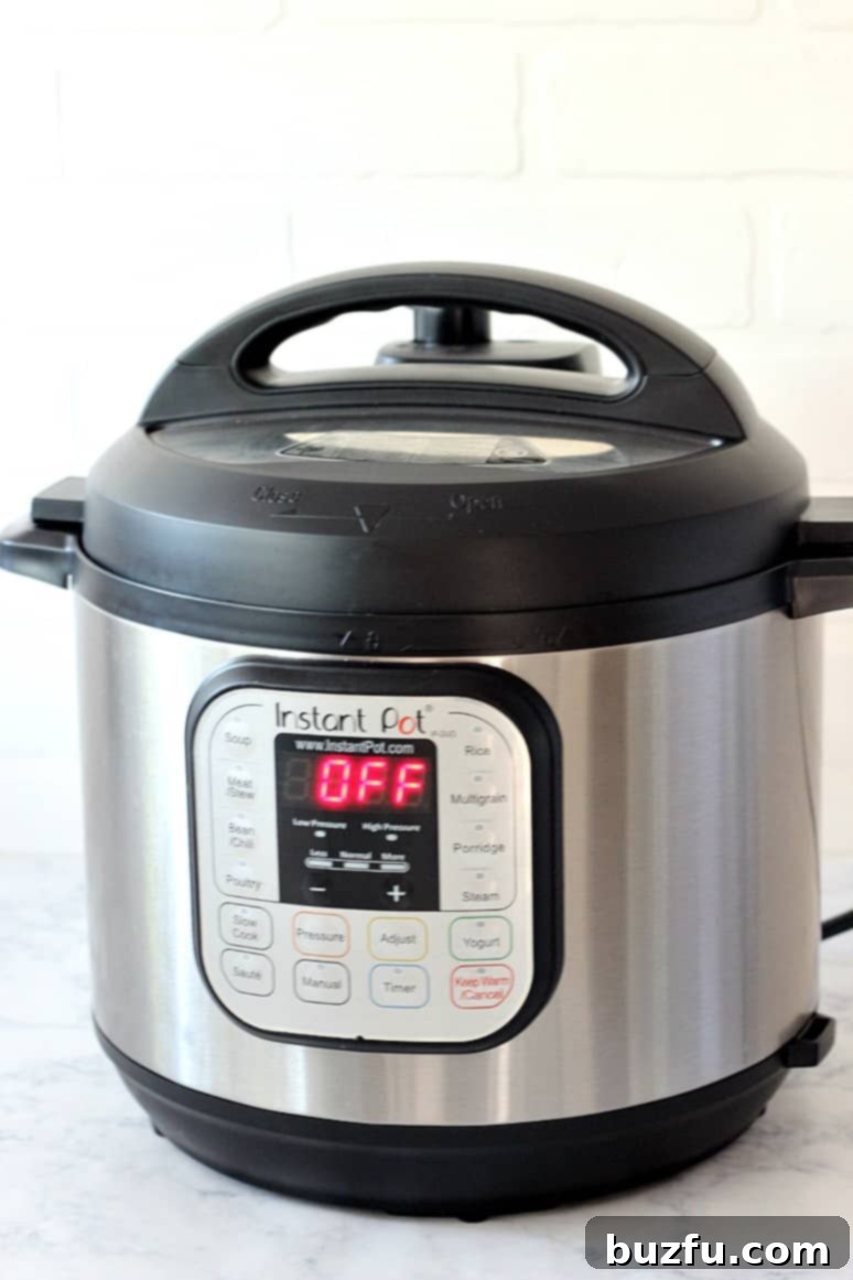 My May 2017 Favorites 2 Instant Pot pressure cooker