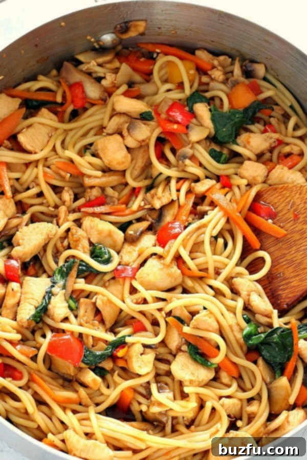 Easy Chicken Lo Mein Recipe - quick and easy homemade chicken, vegetables and noodles dish with teriyaki sauce. Easy Lo Mein Chicken in a skillet, showcasing colorful vegetables, tender chicken, and savory noodles coated in sauce.