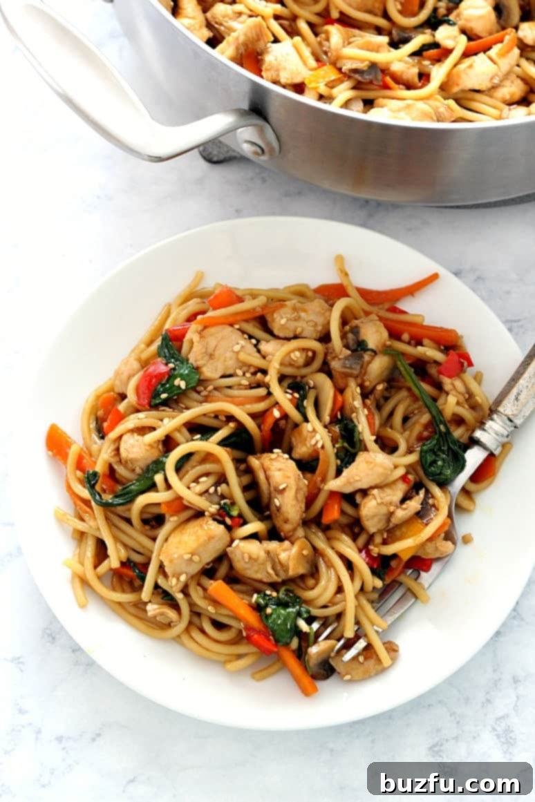 Easy Chicken Lo Mein Recipe - quick and easy homemade chicken, vegetables and noodles dish with teriyaki sauce. Overhead shot of Easy Chicken Lo Mein served on a white plate, with more of the dish invitingly resting in the pan on the side, ready for seconds.
