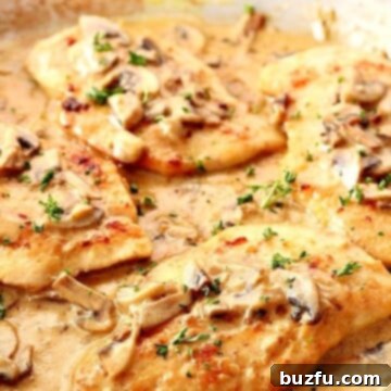 Creamy Mushroom Garlic Chicken cutlets in a pan with sauce.