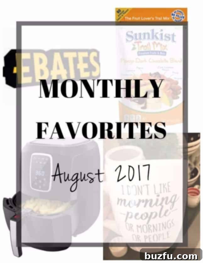A collage of August 2017 monthly favorites, featuring a mug, an air fryer, Sunkist snacks, and the Ebates logo.