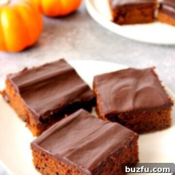 Chocolate Pumpkin Cake pieces on a white plate.