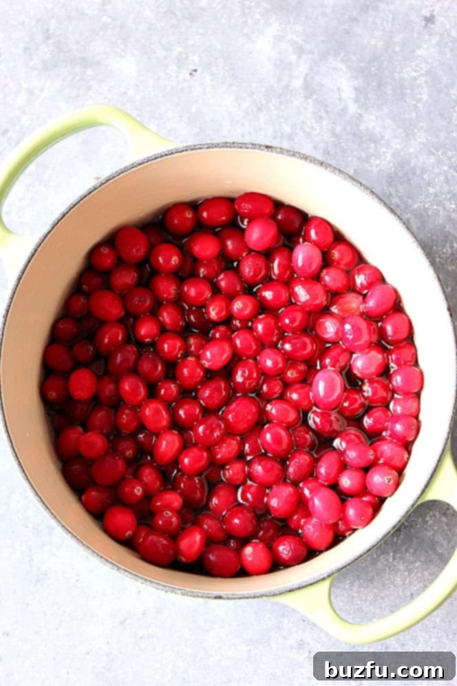 Fresh cranberries for Homemade Cranberry Sauce in water in a pot, ready to be cooked.