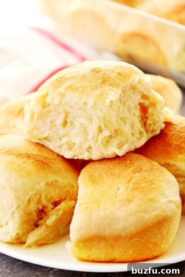Best Dinner Rolls placed on white plate, showcasing their golden-brown crust and soft interior.