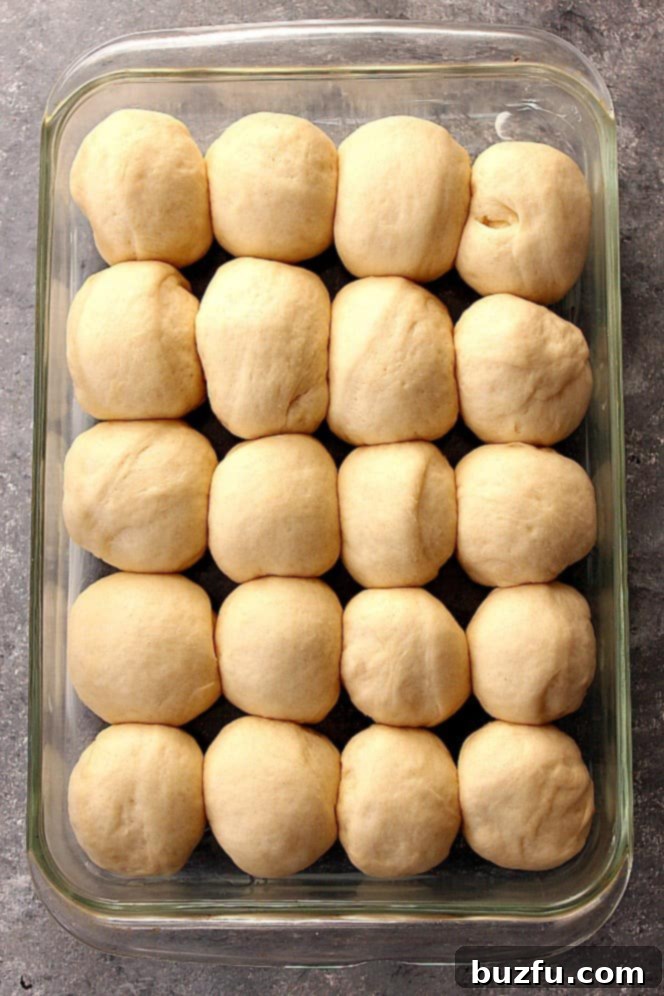 The dinner rolls dough expertly arranged in a baking pan, showing even spacing and uniform shapes.