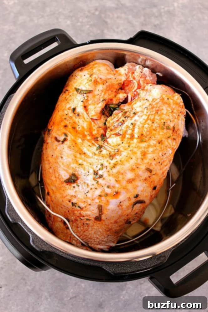 Overhead shot of seasoned turkey breast inside an Instant Pot pressure cooker, ready for cooking.