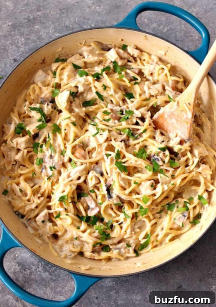 A close-up of creamy One Pot Turkey Tetrazzini, garnished with fresh parsley, served in a skillet.