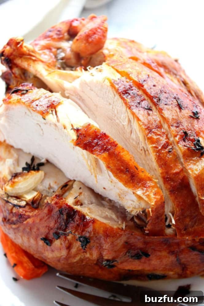 Close-up view of a beautifully golden-brown, sliced roasted turkey breast, showcasing its tender texture.