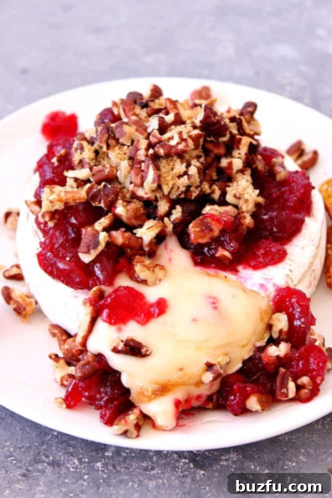 Cranberry Pecan Baked Brie Recipe - creamy gooey cheese topped with tart cranberries and sweet pecans. Perfect party appetizer for the holiday season! 