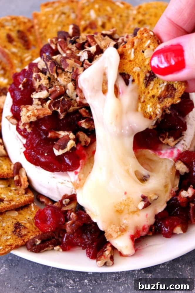 Cranberry Pecan Baked Brie Recipe - creamy gooey cheese topped with tart cranberries and sweet pecans. Perfect party appetizer for the holiday season! 