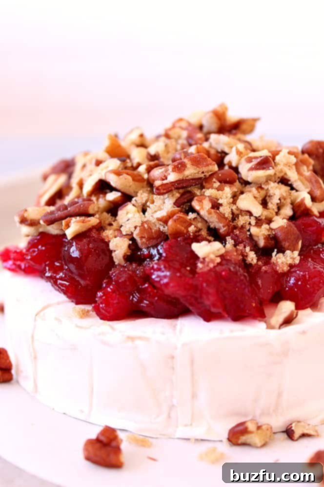 Cranberry Pecan Baked Brie Recipe - creamy gooey cheese topped with tart cranberries and sweet pecans. Perfect party appetizer for the holiday season! 