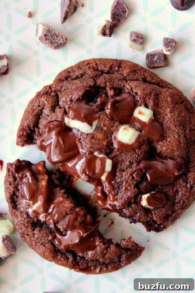 Mint Chocolate Chip Cookie on a plate.