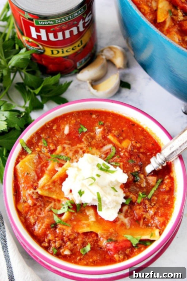 Close-up shot of a bowl of lasagna soup with ricotta and parmesan cheese, next to a large pot of soup.