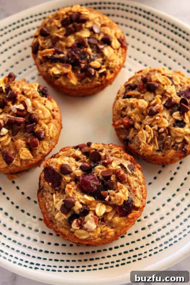 Easy Baked Oatmeal Cups Recipe - hearty and filling oatmeal baked into muffin cups. Perfect breakfast idea for busy days! Overhead shot of baked oatmeal muffins on white plate with blue design.