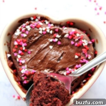 Delicious Chocolate Mug Cake for Two, a quick and easy microwave dessert.