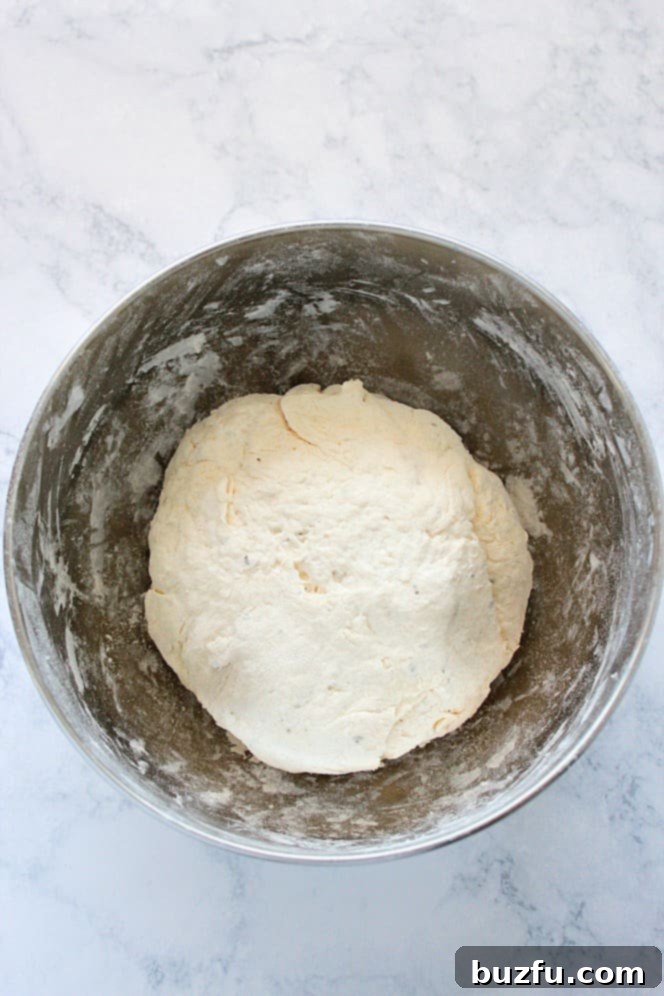 dough in a bowl