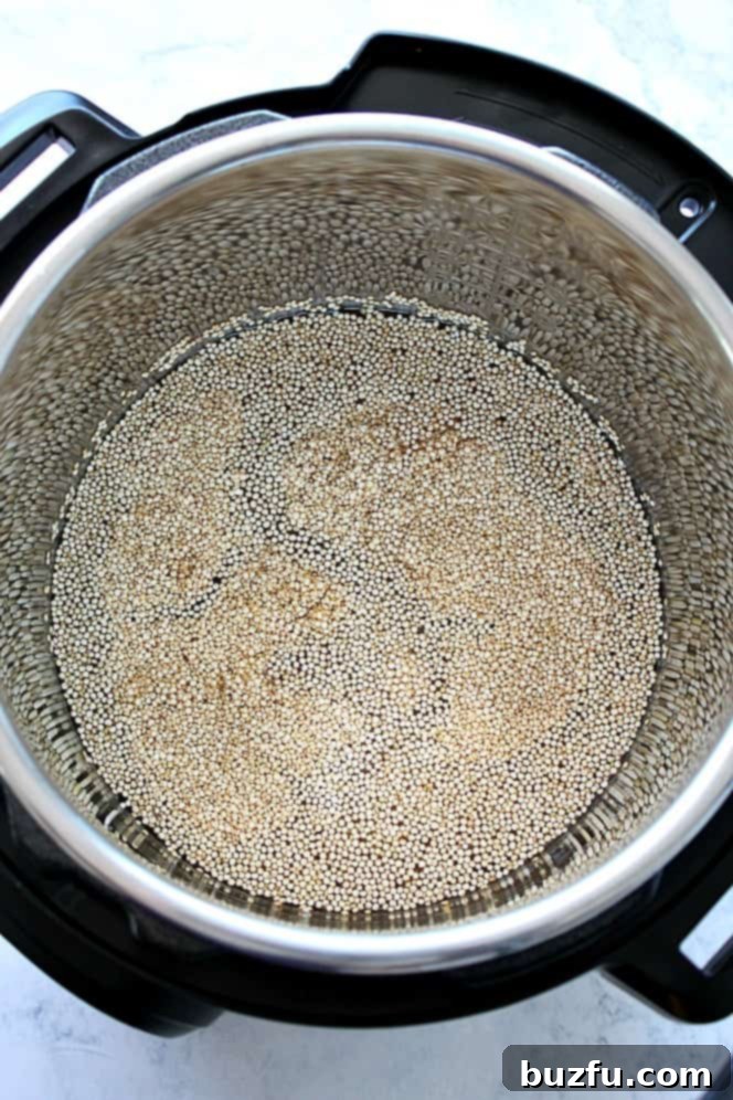 1-Minute Instant Pot Quinoa Recipe - the fastest way to cook perfectly fluffy quinoa in your pressure cooker! Great time-saver for meal prep or busy weeknights. quinoa in Instant Pot