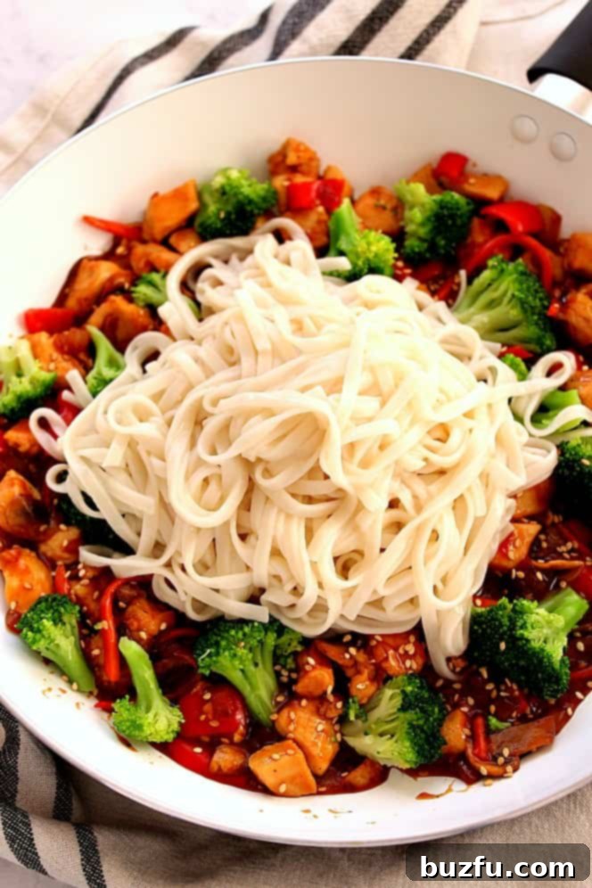 stir fry with noodles