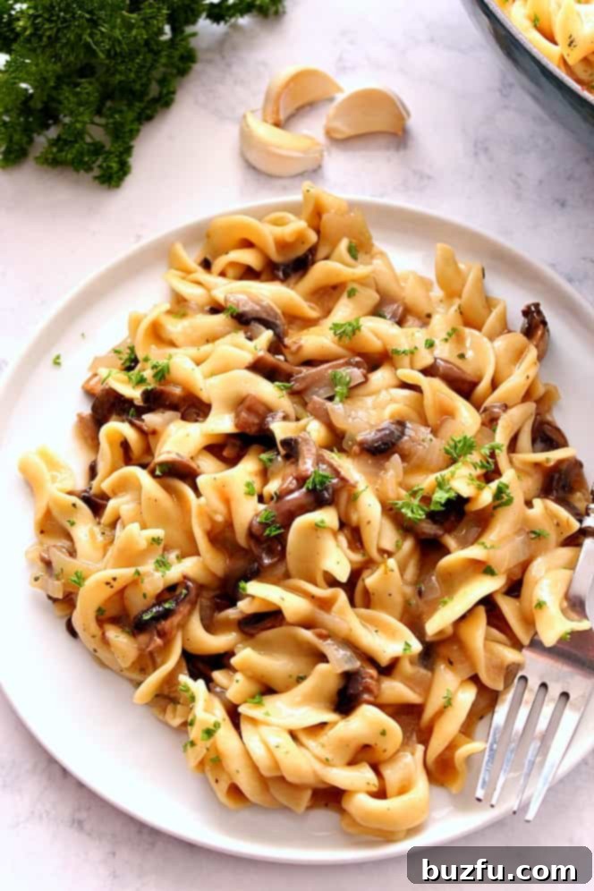Close-up of creamy mushroom stroganoff with wide noodles on a plate, garnished with fresh parsley.