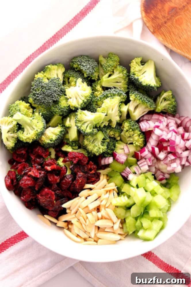 A bowl showcasing the individual ingredients for broccoli salad: vibrant green broccoli, red onion, celery, dried cranberries, and slivered almonds.