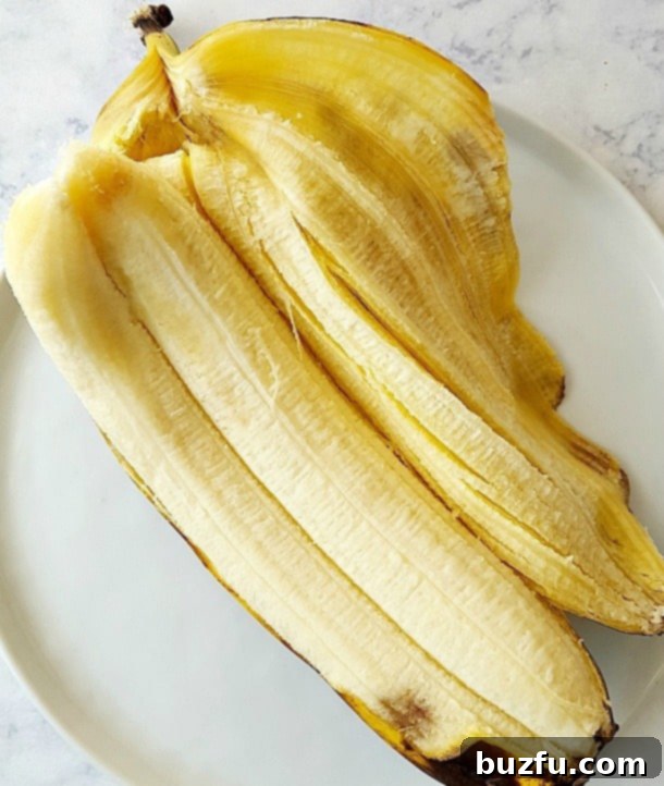 Double Bananas - An unexpected and amusing favorite! A rare sight: two bananas perfectly encased within a single skin, a unique natural curiosity.