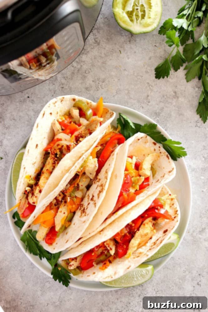 Instant Pot and a serving of chicken fajitas with tortillas.