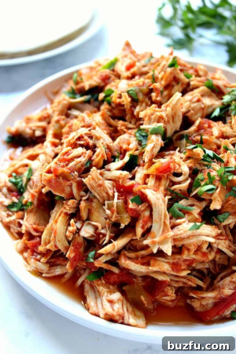 shredded chicken on plate