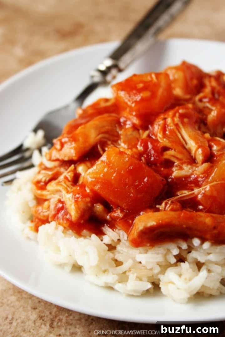 salsa chicken over rice on plate