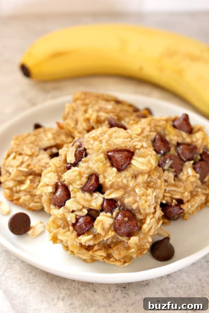 3 Ingredient Oatmeal Chocolate Chip Cookies Recipe - no sugar, eggs, flour or oil added! Naturally gluten, dairy, sugar and oil free. Oatmeal cookies on a plate