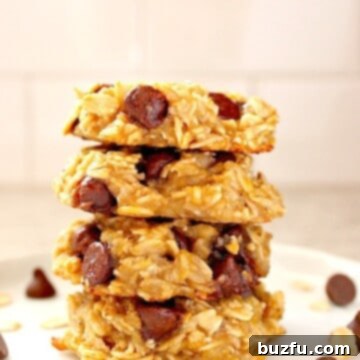 Irresistible 3-Ingredient Oatmeal Chocolate Chip Cookies 2 Oatmeal cookies stacked on a plate.