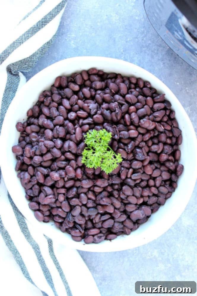Overhead shot of black beans in white bowl with a sprig of parsley. 