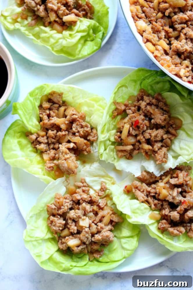 Make the best Chicken Lettuce Wraps in your own kitchen with just a few ingredients for an unforgettable Asian meal. Overhead shot of two plates of Chicken Lettuce Wraps, garnished beautifully and ready to eat.