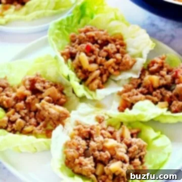 Asian Chicken Lettuce Wraps 2 P. F. Chang's Chicken Lettuce Wraps on a white plate, showcasing the delicious filling.