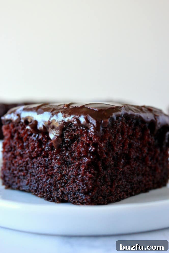 Easy One-Bowl Chocolate Cake Recipe - rich and decadent moist chocolate cake with fudgy frosting. Side close up shot of a perfectly frosted chocolate cake with rich fudge frosting on a white plate, showcasing its moist texture.