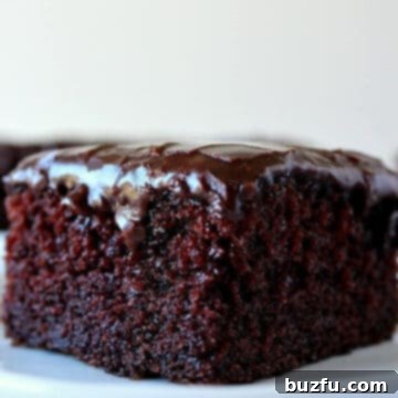 Simple One Bowl Chocolate Indulgence 2 A chocolate cake serving on a white small plate, frosted with fudgy chocolate.