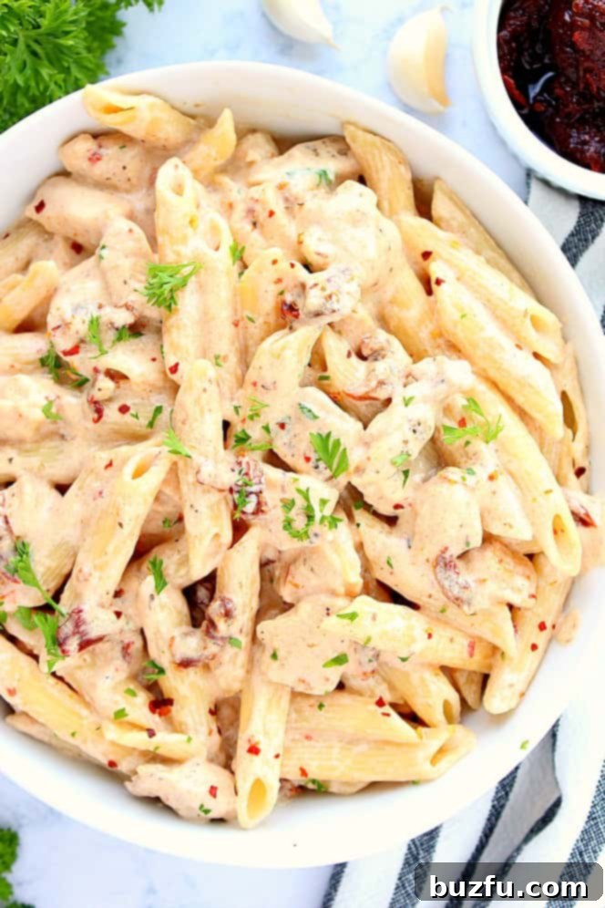 Overhead shot close up of creamy sun-dried Alfredo pasta with chicken, in white bowl. 