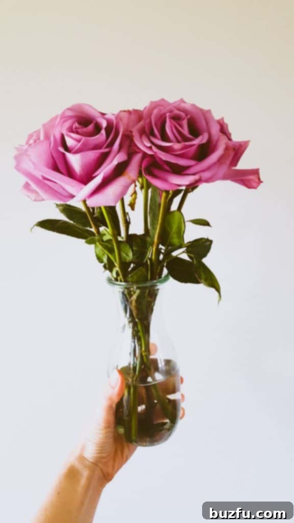 Weekend Chat No.1 Three elegant purple roses in a sleek glass vase, gently held by a hand, symbolizing weekend tranquility and beauty.